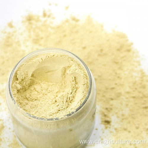 100% Natural Allicin Garlic Powder Wholesale